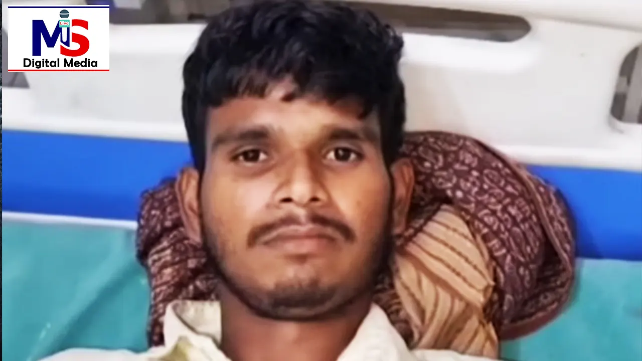 hardoi me yuvak ne cobra saap ko kata